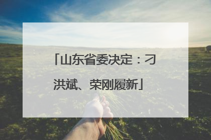山东省委决定：刁洪斌、荣刚履新