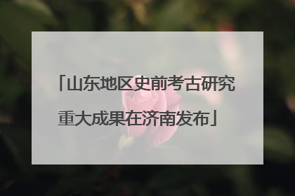 山东地区史前考古研究重大成果在济南发布