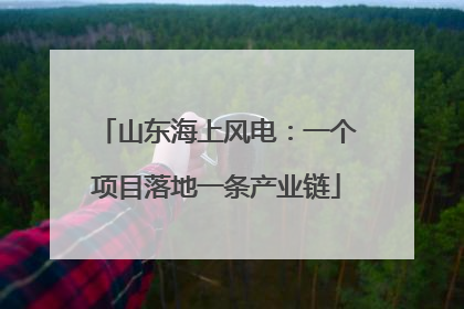 山东海上风电：一个项目落地一条产业链