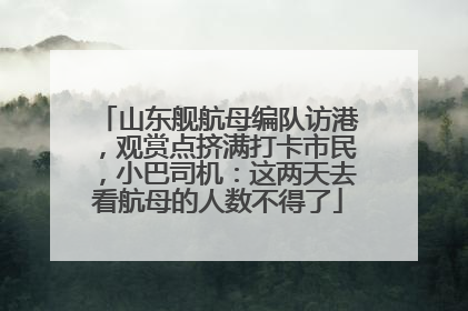 山东舰航母编队访港，观赏点挤满打卡市民，小巴司机：这两天去看航母的人数不得了