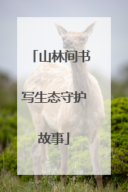 山林间书写生态守护故事