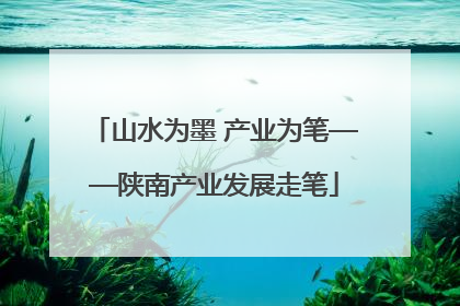 山水为墨 产业为笔——陕南产业发展走笔