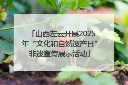 山西左云开展2025年“文化和自然遗产日”非遗宣传展示活动