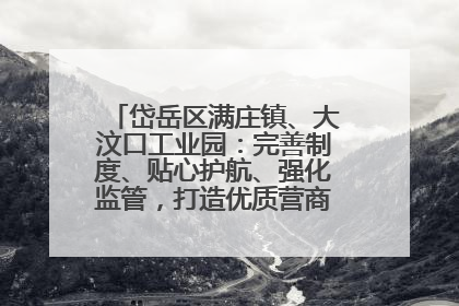 岱岳区满庄镇、大汶口工业园：完善制度、贴心护航、强化监管，打造优质营商“强磁场”