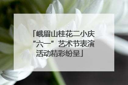 峨眉山桂花二小庆“六一”艺术节表演活动精彩纷呈