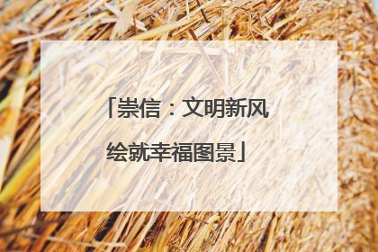 崇信：文明新风绘就幸福图景