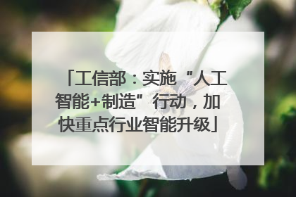 工信部：实施“人工智能+制造”行动，加快重点行业智能升级