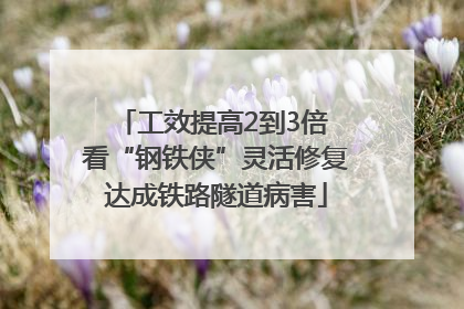 工效提高2到3倍 看“钢铁侠”灵活修复达成铁路隧道病害