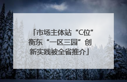 市场主体站“C位” 衡东“一区三园”创新实践被全省推介