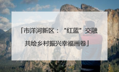 市洋河新区：“红蓝”交融 共绘乡村振兴幸福画卷