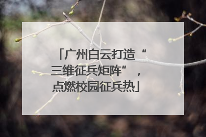 广州白云打造“三维征兵矩阵”，点燃校园征兵热