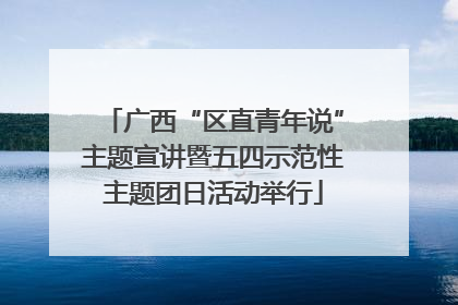 广西“区直青年说”主题宣讲暨五四示范性主题团日活动举行