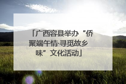 广西容县举办“侨聚端午情·寻觅故乡味”文化活动