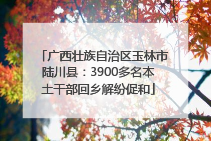 广西壮族自治区玉林市陆川县：3900多名本土干部回乡解纷促和