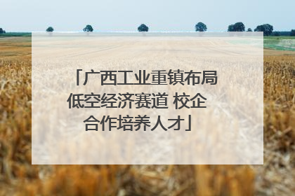 广西工业重镇布局低空经济赛道 校企合作培养人才