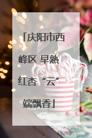 庆阳市西峰区 早熟红杏“云”端飘香