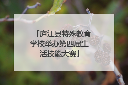 庐江县特殊教育学校举办第四届生活技能大赛