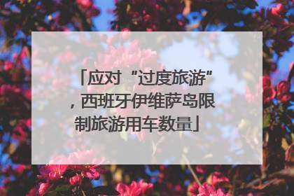 应对“过度旅游”，西班牙伊维萨岛限制旅游用车数量