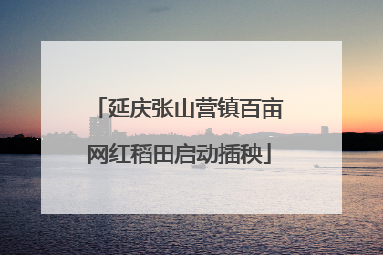 延庆张山营镇百亩网红稻田启动插秧