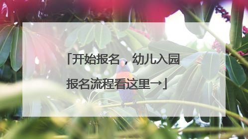 开始报名，幼儿入园报名流程看这里→