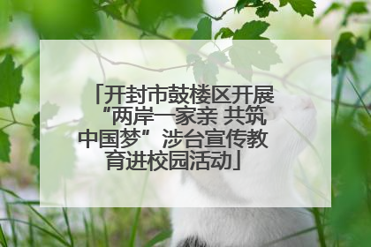 开封市鼓楼区开展“两岸一家亲 共筑中国梦”涉台宣传教育进校园活动