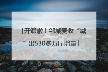 开镰啦！邹城麦收“减”出530多万斤增量