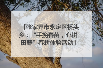 张家界市永定区桥头乡：“手挽春苗，心耕田野”春耕体验活动
