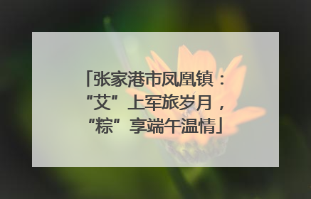 张家港市凤凰镇：“艾”上军旅岁月，“粽”享端午温情