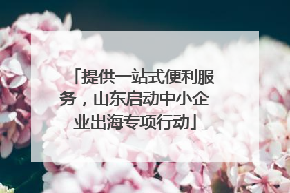 提供一站式便利服务，山东启动中小企业出海专项行动