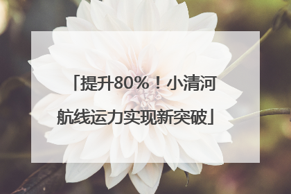 提升80％！小清河航线运力实现新突破