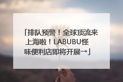 排队预警！全球顶流来上海啦！LABUBU怪味便利店即将开展→
