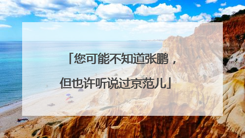 您可能不知道张鹏，但也许听说过京范儿