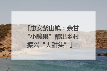 惠安紫山镇：余甘“小酸果”酿出乡村振兴“大甜头”