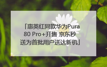 惠英红同款华为Pura 80 Pro+开售 京东秒送为首批用户送达新机