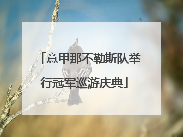 意甲那不勒斯队举行冠军巡游庆典