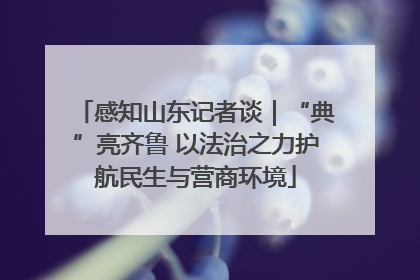 感知山东记者谈｜“典”亮齐鲁 以法治之力护航民生与营商环境