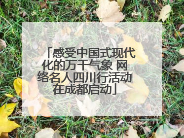 感受中国式现代化的万千气象 网络名人四川行活动在成都启动