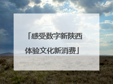感受数字新陕西 体验文化新消费