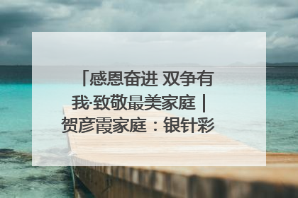 感恩奋进 双争有我·致敬最美家庭｜贺彦霞家庭：银针彩线绣出好日子