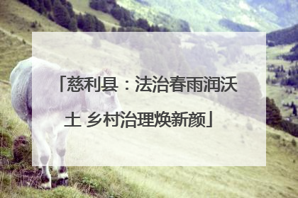 慈利县：法治春雨润沃土 乡村治理焕新颜