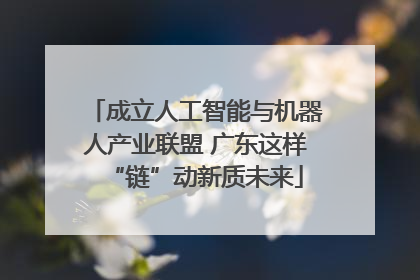 成立人工智能与机器人产业联盟 广东这样“链”动新质未来
