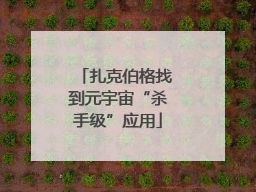 扎克伯格找到元宇宙“杀手级”应用