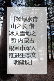 扬绿水青山之长 借冰天雪地之势 内蒙古根河市深入推进生态文明建设