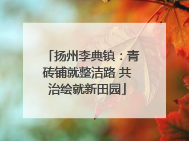 扬州李典镇：青砖铺就整洁路 共治绘就新田园