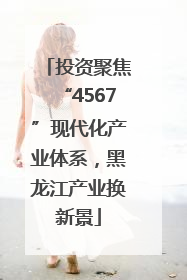 投资聚焦“4567”现代化产业体系，黑龙江产业换新景