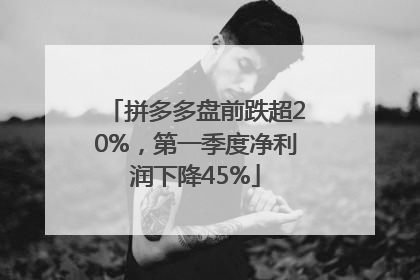 拼多多盘前跌超20%，第一季度净利润下降45%
