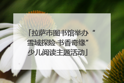 拉萨市图书馆举办“雪域探险·书香奇缘”少儿阅读主题活动