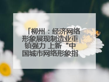 柳州：经济网络形象展现制造业重镇强力 上新“中国城市网络形象指数”报告