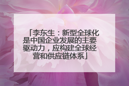 李东生：新型全球化是中国企业发展的主要驱动力，应构建全球经营和供应链体系
