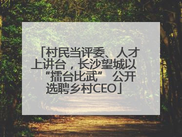 村民当评委、人才上讲台，长沙望城以“擂台比武” 公开选聘乡村CEO